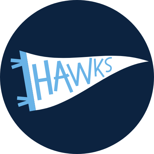Hawks Pennant Button