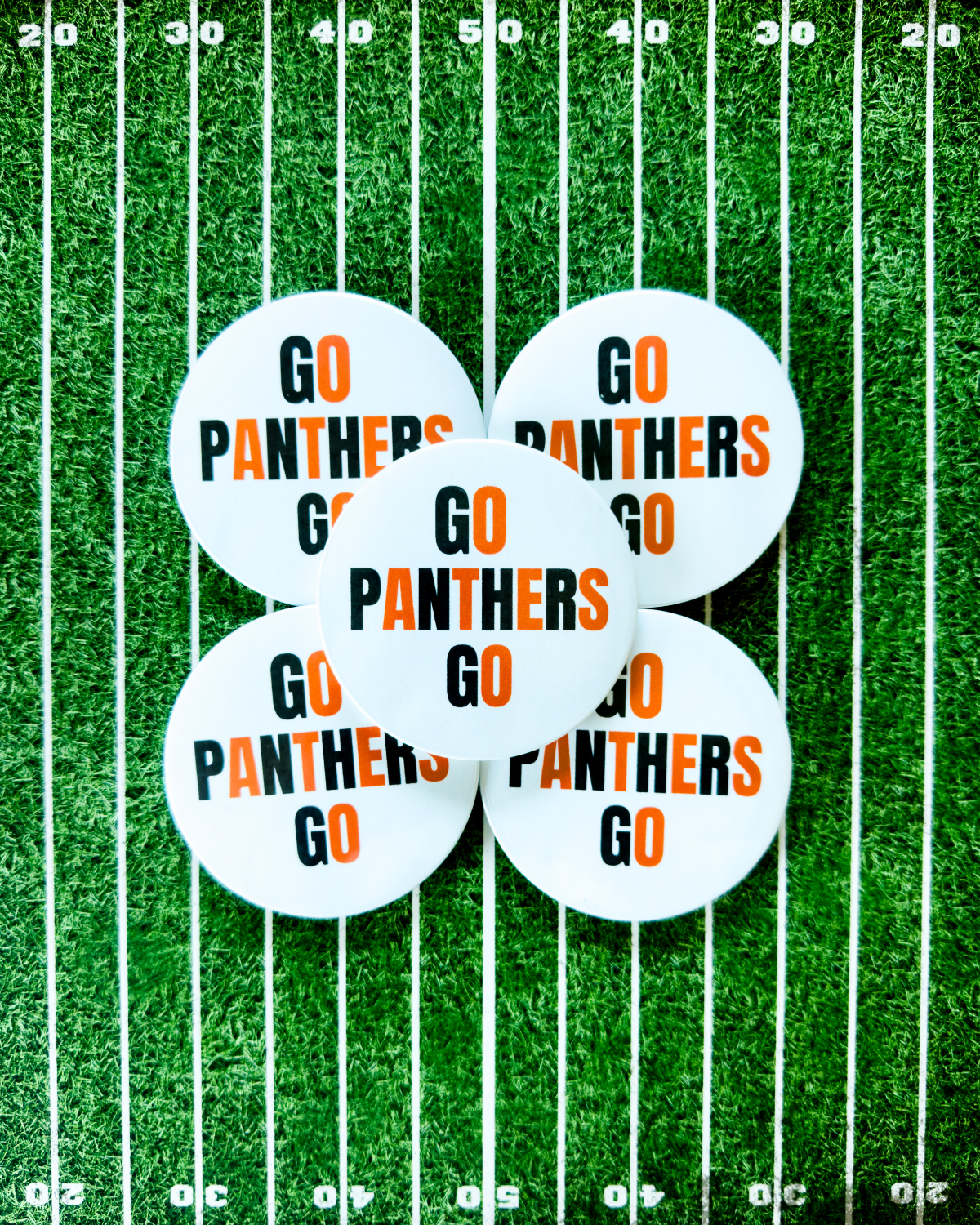 Go Panthers Go Button